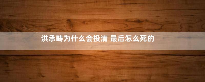 洪承畴为什么会投清 最后怎么死的
